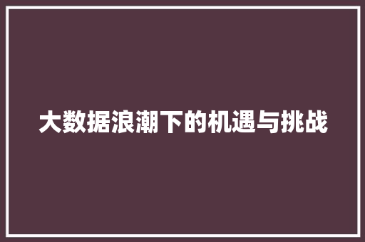 大数据浪潮下的机遇与挑战