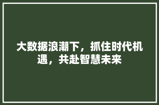大数据浪潮下，抓住时代机遇，共赴智慧未来