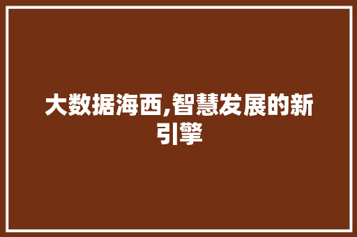 大数据海西,智慧发展的新引擎
