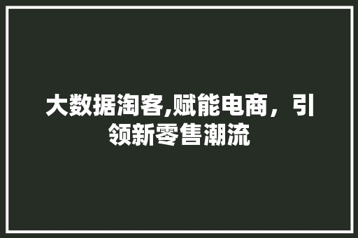 大数据淘客,赋能电商，引领新零售潮流
