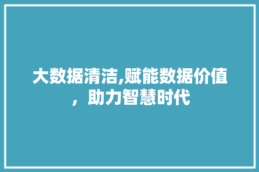 大数据清洁,赋能数据价值，助力智慧时代