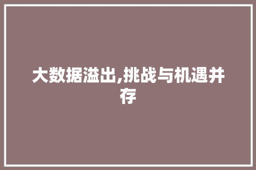 大数据溢出,挑战与机遇并存