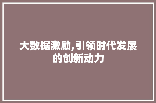 大数据激励,引领时代发展的创新动力