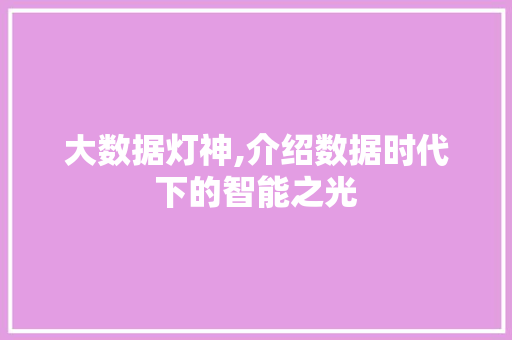 大数据灯神,介绍数据时代下的智能之光