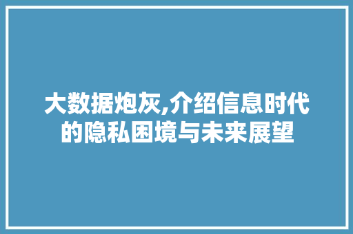 大数据炮灰,介绍信息时代的隐私困境与未来展望 必应SEO