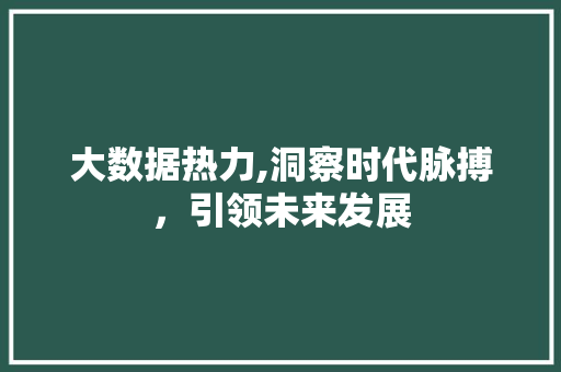 大数据热力,洞察时代脉搏，引领未来发展 百度SEO