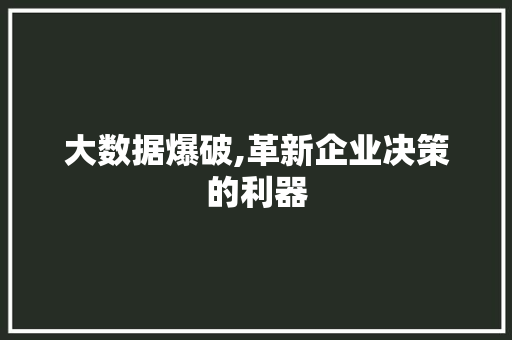 大数据爆破,革新企业决策的利器
