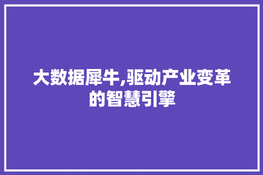 大数据犀牛,驱动产业变革的智慧引擎