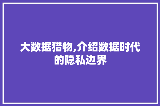 大数据猎物,介绍数据时代的隐私边界 GoogleSEO