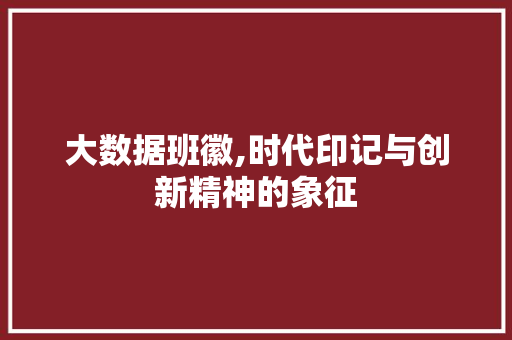 大数据班徽,时代印记与创新精神的象征