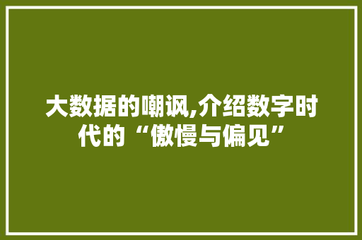 大数据的嘲讽,介绍数字时代的“傲慢与偏见”