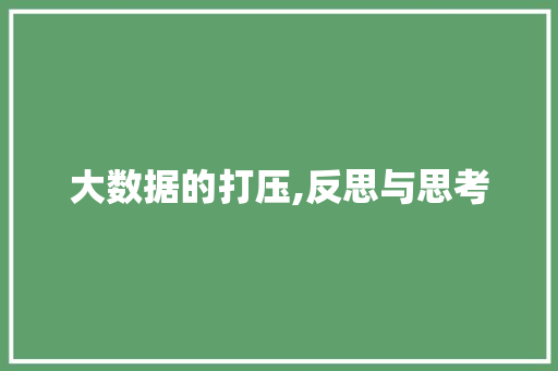 大数据的打压,反思与思考