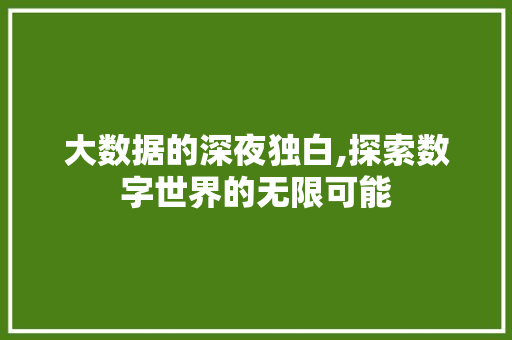 大数据的深夜独白,探索数字世界的无限可能 神马SEO