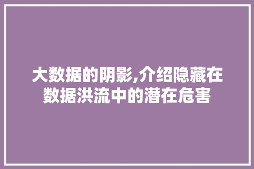 大数据的阴影,介绍隐藏在数据洪流中的潜在危害