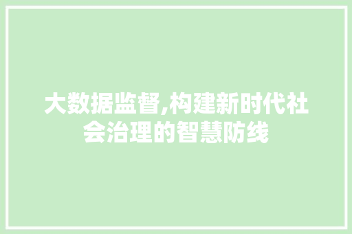 大数据监督,构建新时代社会治理的智慧防线