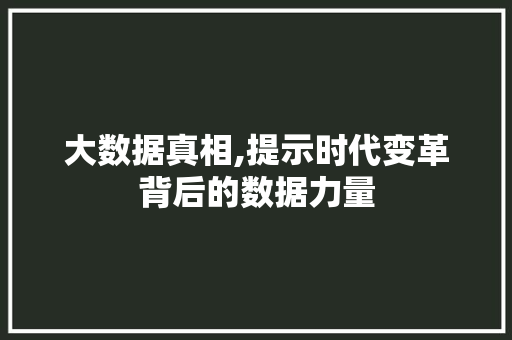 大数据真相,提示时代变革背后的数据力量 神马SEO