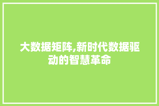 大数据矩阵,新时代数据驱动的智慧革命 神马SEO