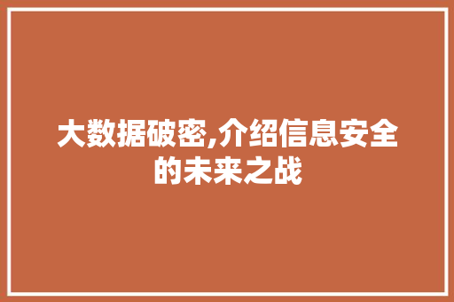 大数据破密,介绍信息安全的未来之战