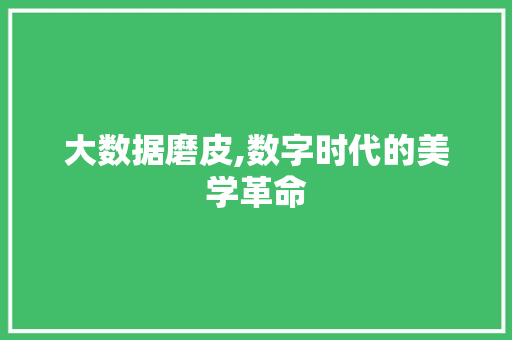 大数据磨皮,数字时代的美学革命 必应SEO