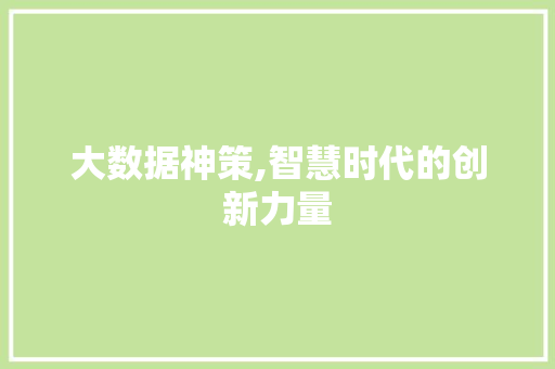 大数据神策,智慧时代的创新力量