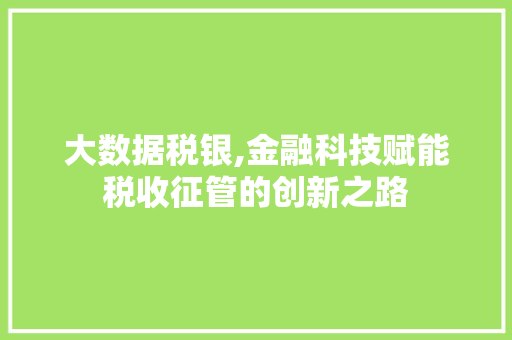 大数据税银,金融科技赋能税收征管的创新之路