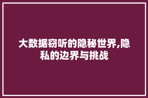 大数据窃听的隐秘世界,隐私的边界与挑战 神马SEO