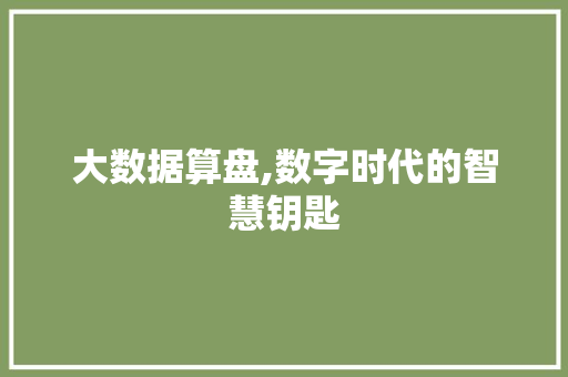 大数据算盘,数字时代的智慧钥匙