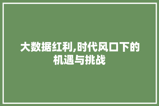 大数据红利,时代风口下的机遇与挑战