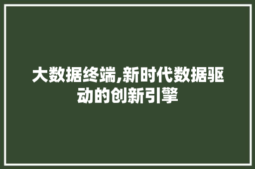 大数据终端,新时代数据驱动的创新引擎