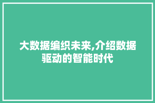 大数据编织未来,介绍数据驱动的智能时代 百度SEO