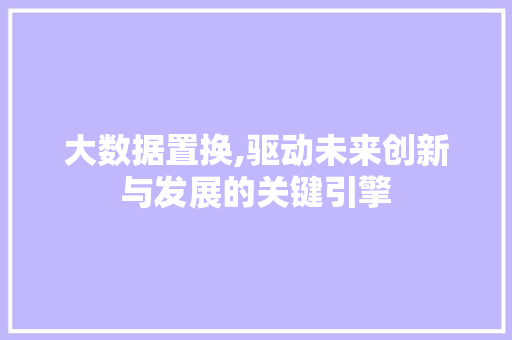 大数据置换,驱动未来创新与发展的关键引擎