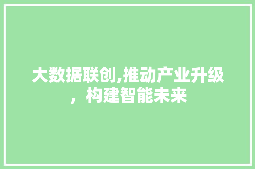大数据联创,推动产业升级，构建智能未来