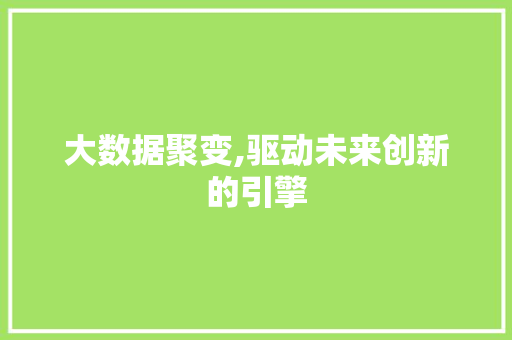 大数据聚变,驱动未来创新的引擎 神马SEO