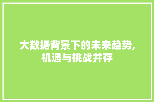 大数据背景下的未来趋势,机遇与挑战并存 百度SEO