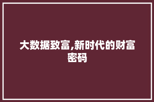 大数据致富,新时代的财富密码