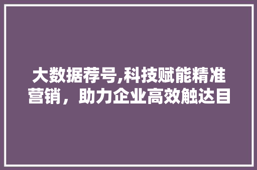 大数据荐号,科技赋能精准营销，助力企业高效触达目标用户