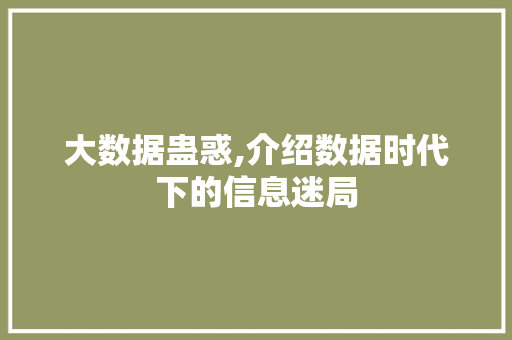 大数据蛊惑,介绍数据时代下的信息迷局 神马SEO