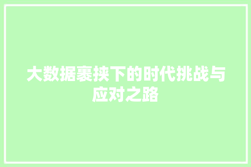 大数据裹挟下的时代挑战与应对之路 神马SEO