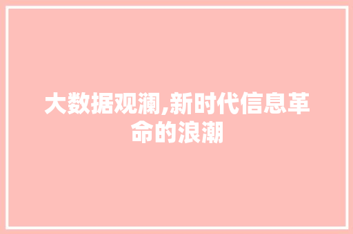 大数据观澜,新时代信息革命的浪潮 百度SEO