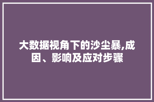 大数据视角下的沙尘暴,成因、影响及应对步骤 GoogleSEO