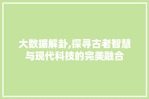 大数据解卦,探寻古老智慧与现代科技的完美融合 GoogleSEO