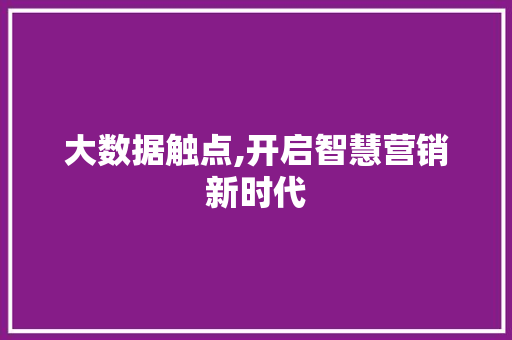 大数据触点,开启智慧营销新时代