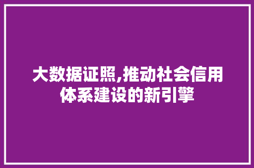 大数据证照,推动社会信用体系建设的新引擎