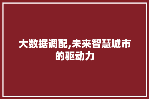 大数据调配,未来智慧城市的驱动力