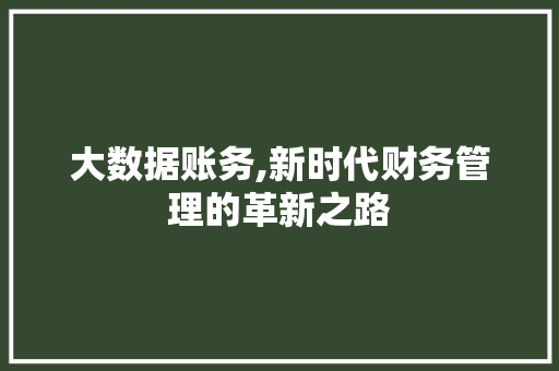 大数据账务,新时代财务管理的革新之路