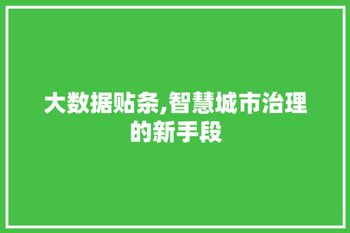 大数据贴条,智慧城市治理的新手段