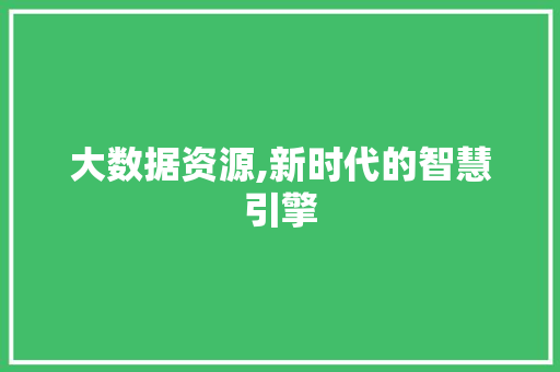 大数据资源,新时代的智慧引擎 百度SEO