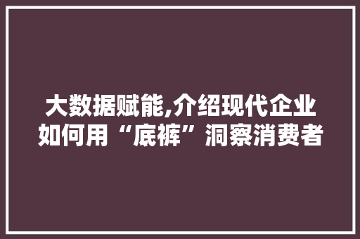 大数据赋能,介绍现代企业如何用“底裤”洞察消费者需求