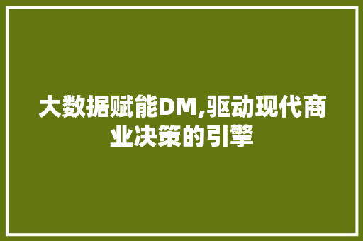 大数据赋能DM,驱动现代商业决策的引擎 神马SEO
