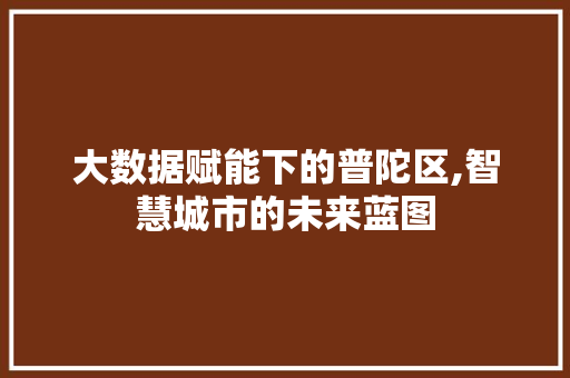 大数据赋能下的普陀区,智慧城市的未来蓝图
